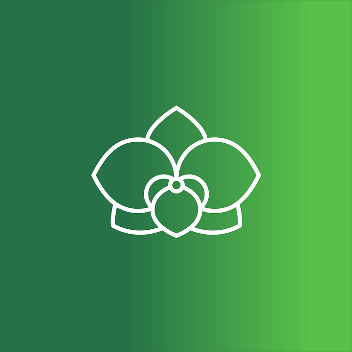 Логотип заведения Орхидея (цветочная лавка)